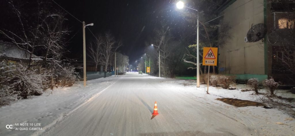 На трассах Приамурья установили травмобезопасные электроопоры