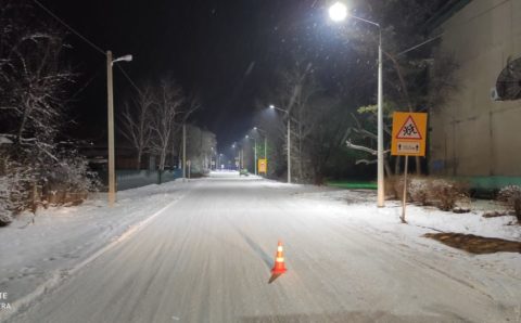 На трассах Приамурья установили травмобезопасные электроопоры