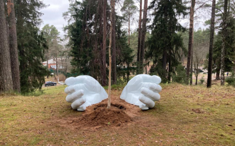 В Ленобласти появился новый парк