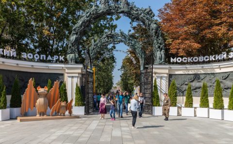 В Московском зоопарке к следующему лету появится павильон «Ластоногие»