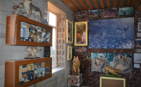 В Карачаево-Черкесии создали уникальный питомник «Долина волков»