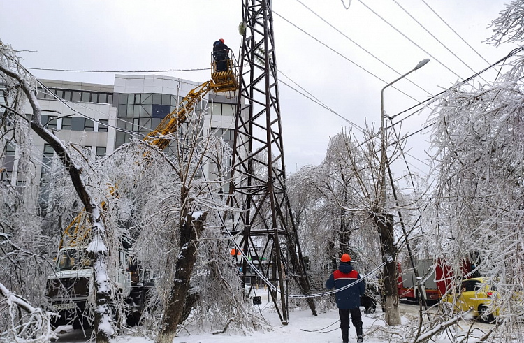 Правительство Приморья оценило финансовый ущерб от ледяного шторма