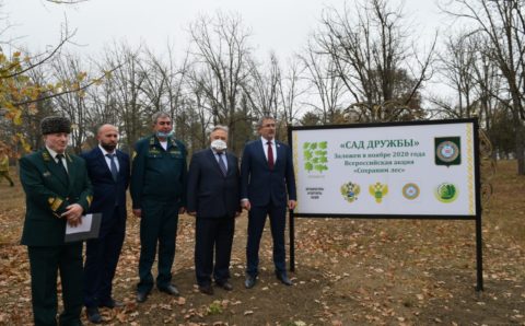 В Чечне в рамках акции по сохранению леса заложили «Сад дружбы»