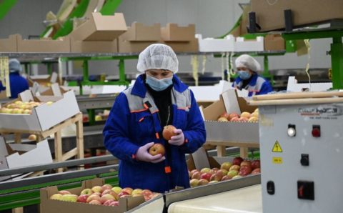 В Крыму к 2023 году построят два крупных хранилища для фруктов