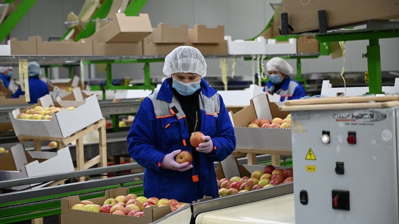 В Крыму к 2023 году построят два крупных хранилища для фруктов