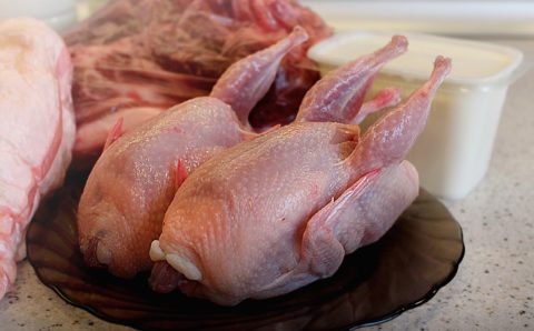 Ставропольские производители впервые экспортировали мясо птицы в Анголу