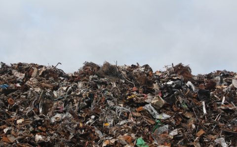 Правительство выделит средства на рекультивацию свалок в Ингушетии