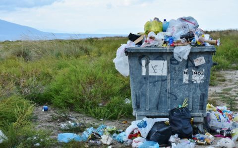 Ленобласть запускает раздельный сбор мусора в тестовом режиме