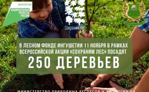 В Ингушетии высадили 250 деревьев в рамках акции «Сохраним лес» 