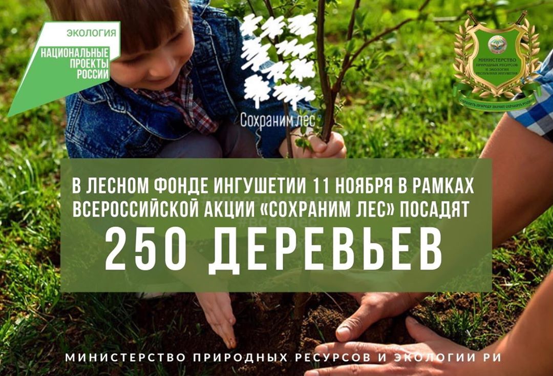 В Ингушетии высадили 250 деревьев в рамках акции «Сохраним лес» 