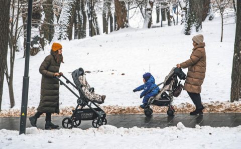 Столичные парки проведут онлайн-программу ко Дню матери