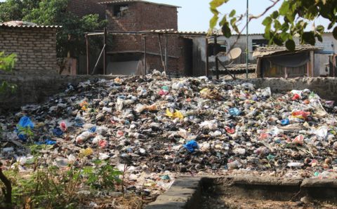 Петербургская мусорная реформа может привести к открытию еще трех полигонов в Ленобласти для городских нужд