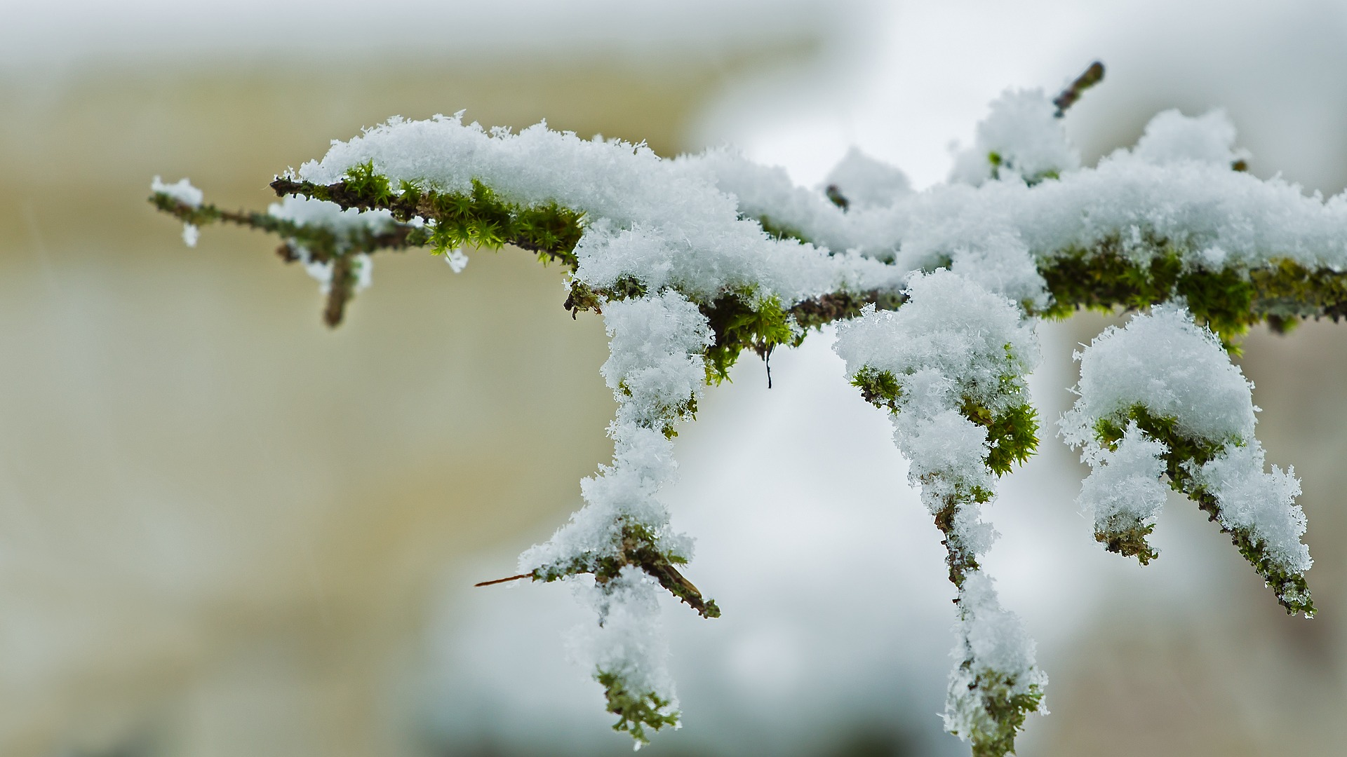 Почти пять месячных норм осадков выпало во время снегопада в Чите