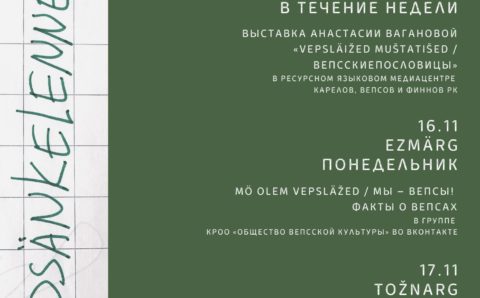 В Карелии проходит Неделя вепсского языка