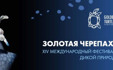 В Москве пройдет онлайн-экскурсия по фестивалю дикой природы
