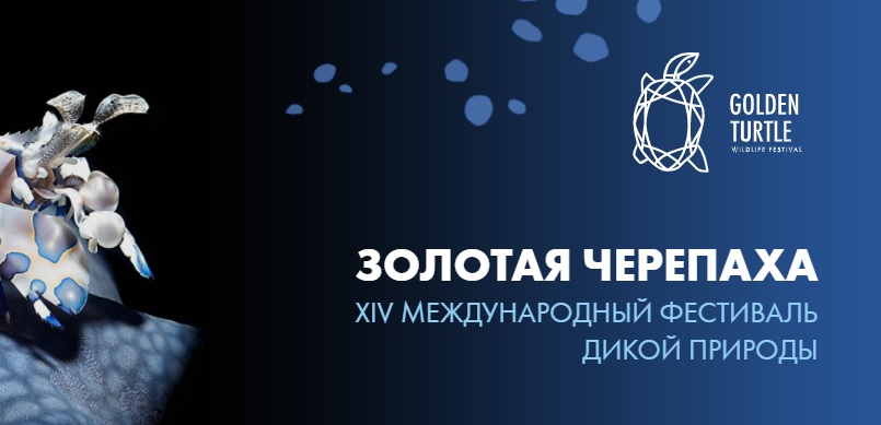 В Москве пройдет онлайн-экскурсия по фестивалю дикой природы
