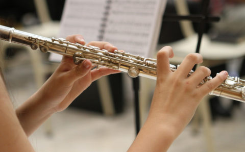 Школы искусств Московской области получат новые музыкальные инструменты