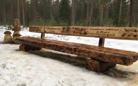 В лесах Подмосковья появились скамейки-навигаторы