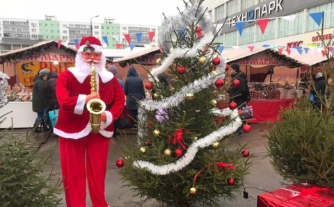 20 декабря в Московской области начнут массово открываться ёлочные базары
