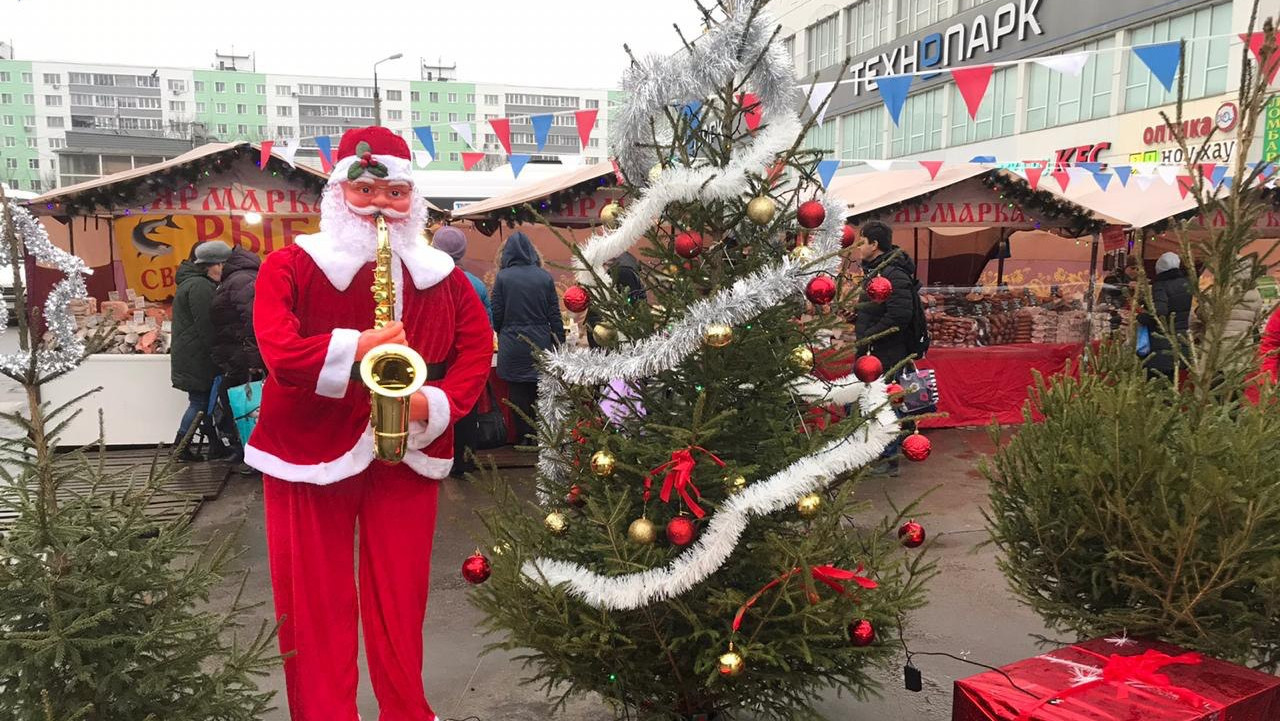 20 декабря в Московской области начнут массово открываться ёлочные базары