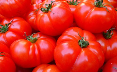 Россельхознадзор разрешил ввоз томатов из одного предприятия Азербайджана