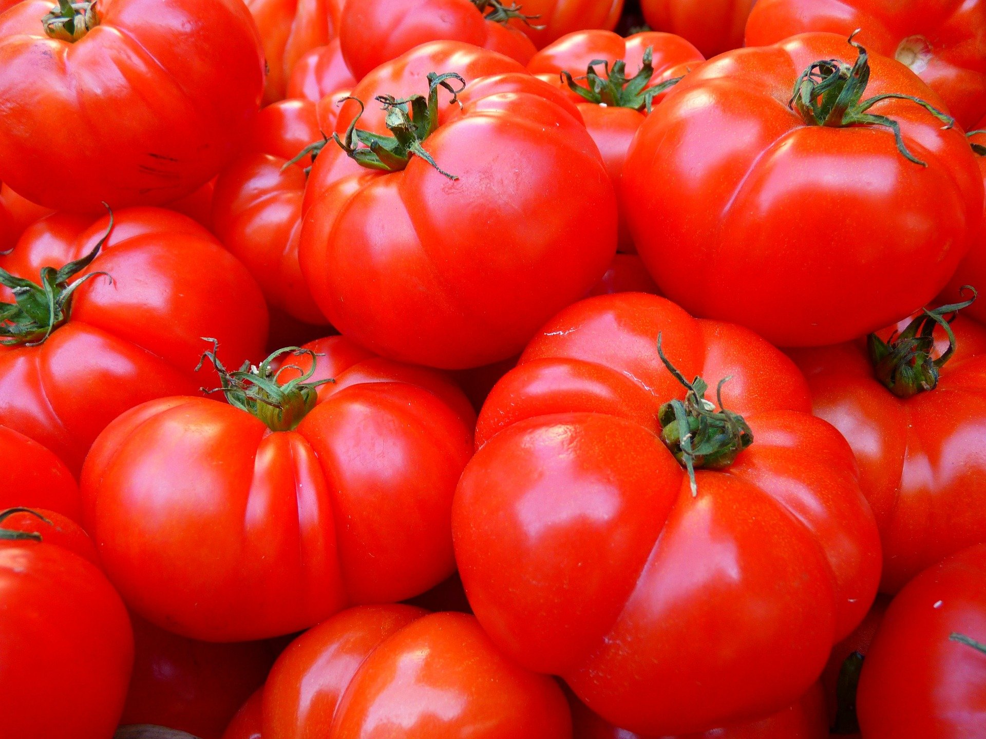 Россельхознадзор разрешил ввоз томатов из одного предприятия Азербайджана