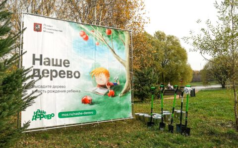 В парках Москвы высадили более 5 000 именных деревьев