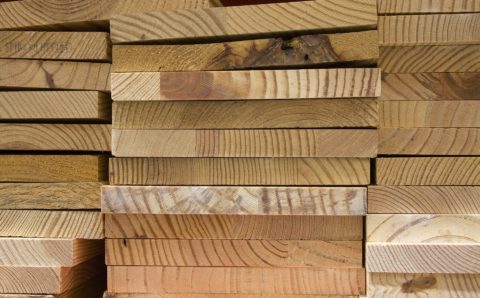 В Ленобласти работает единственное в России производство панелей из цельной древесины