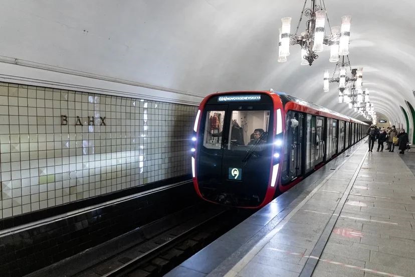 Мужчину, спрыгнувшего на пути метро в Москве, арестовали на пять суток