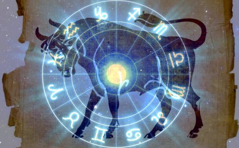 Новогодняя программа для «быков» от астрологов и экстрасенсов