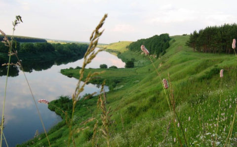 В Липецкой области появится ещё одна экологическая тропа 