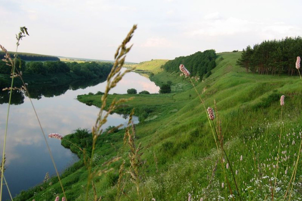 В Липецкой области появится ещё одна экологическая тропа 