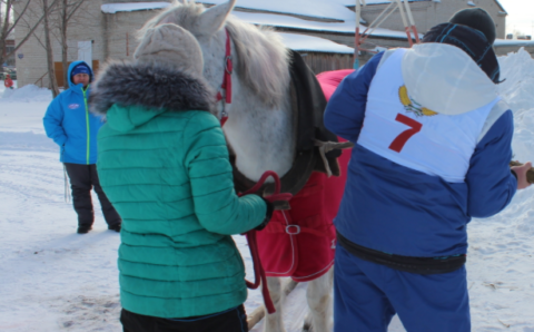 В Курганской области открыли туристический комплекс с горнолыжным склоном