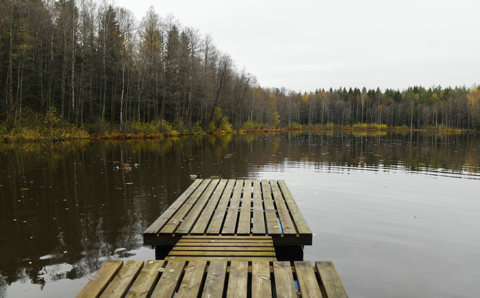 Ленинградская область предложит туристам баню и жареных фазанов