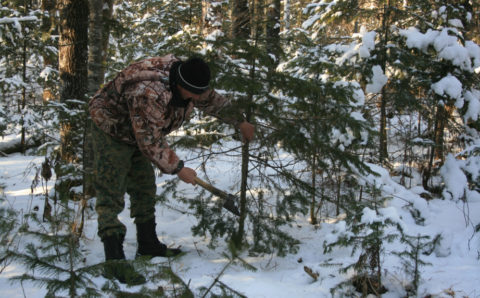 В Хабаровском крае проходит операция «Елочка»