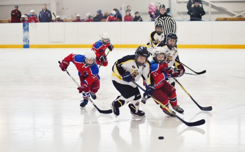 В Благовещенске появится крытый каток