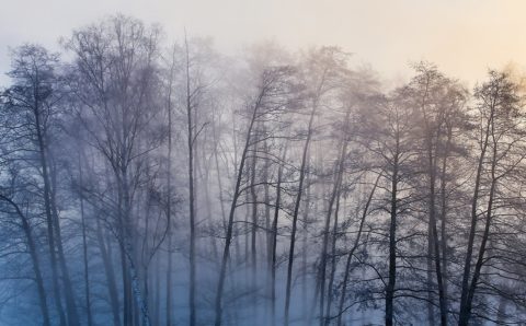 Якутским водителям посоветовали отложить поездку из-за тумана