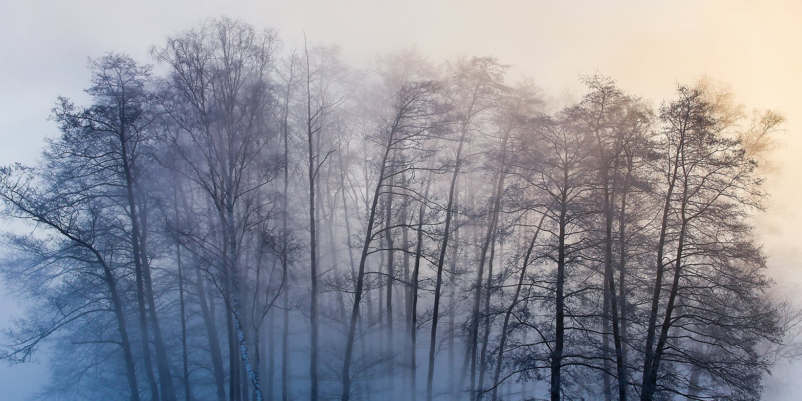 Якутским водителям посоветовали отложить поездку из-за тумана