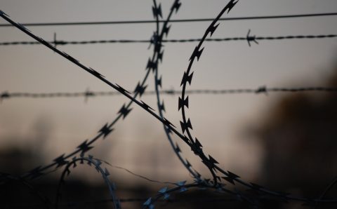 В колониях и изоляторах Воронежской области приостановили свидания