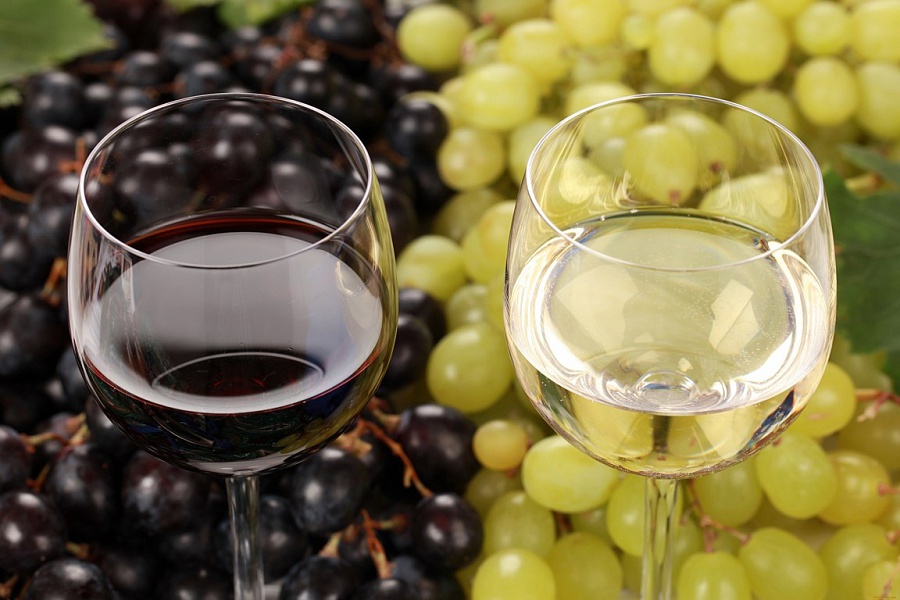 «Вино как в Древнем Риме»: В горах Сочи открылась первая винодельня