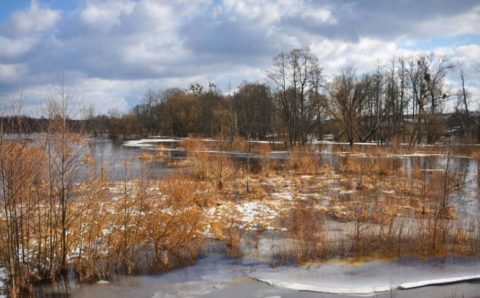 В реках Краснодарского края ожидается подъем уровня воды