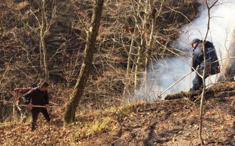 Пожарные справились с возгоранием сухой травы в Сочи