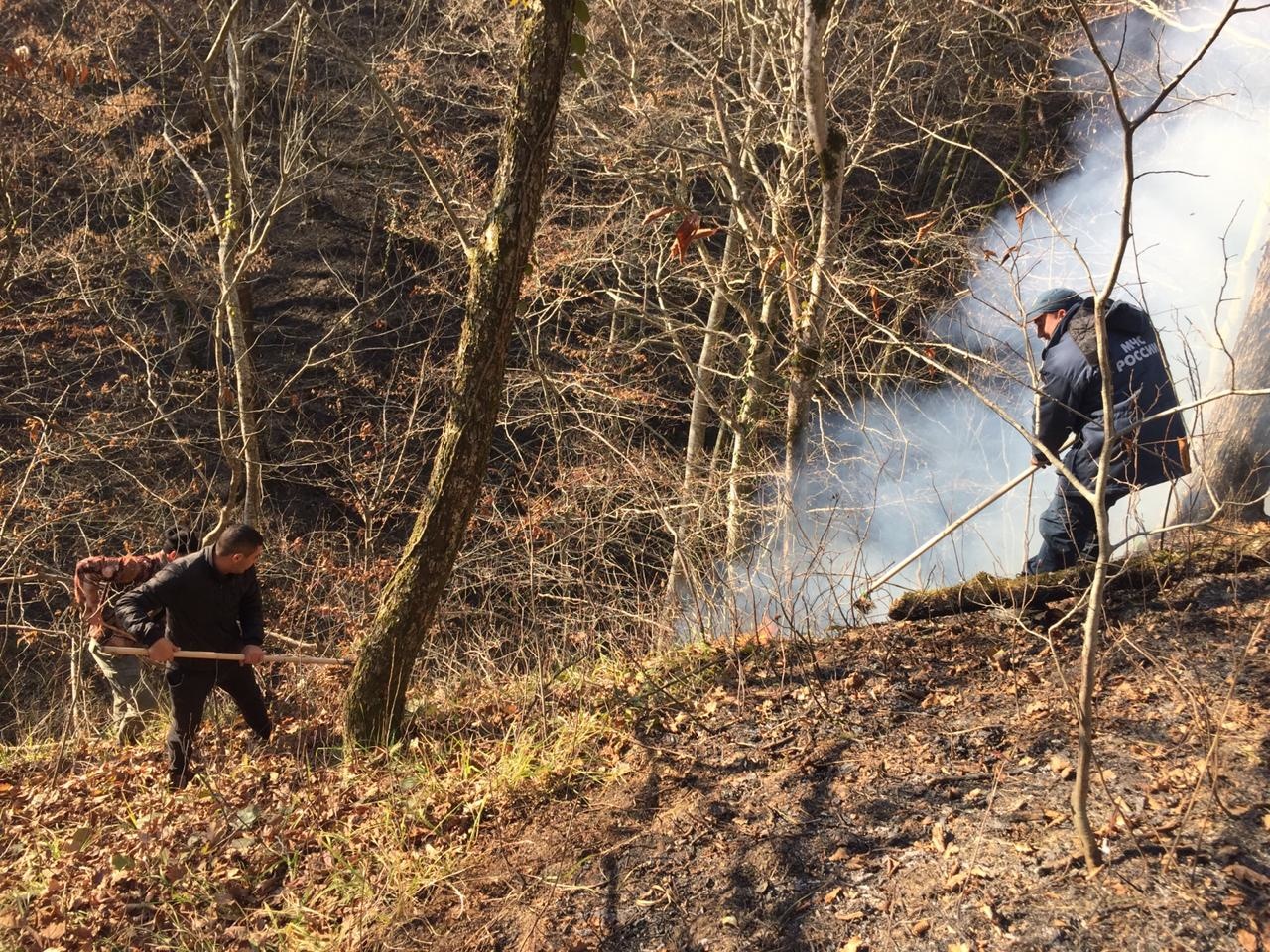 Пожарные справились с возгоранием сухой травы в Сочи