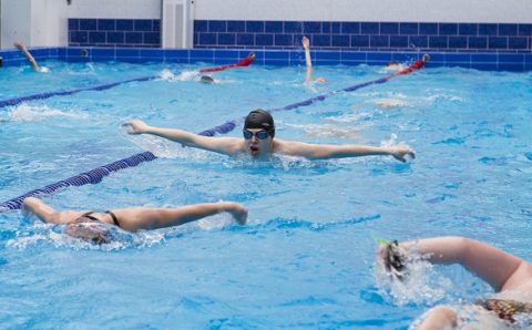 В Саратовской области откроется Дворец водных видов спорта