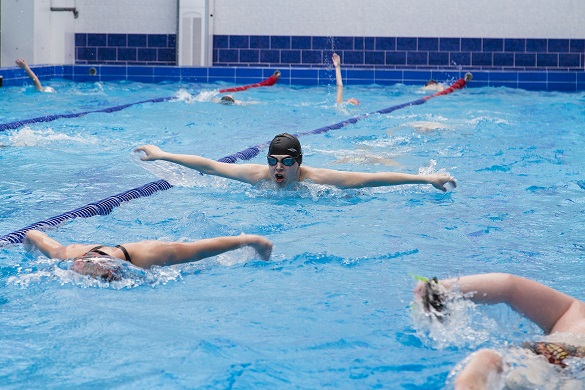 В Саратовской области откроется Дворец водных видов спорта
