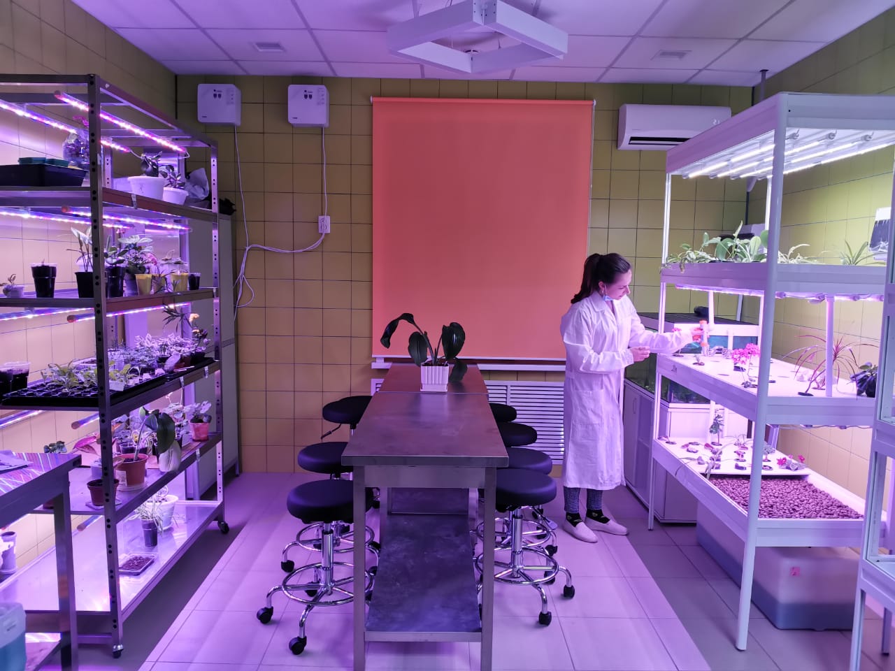 Курские одаренные дети выращивают экопродукты по гидропонной технологии