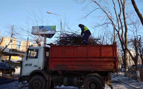 Владивосток мобилизует подрядчиков для очистки города от веток
