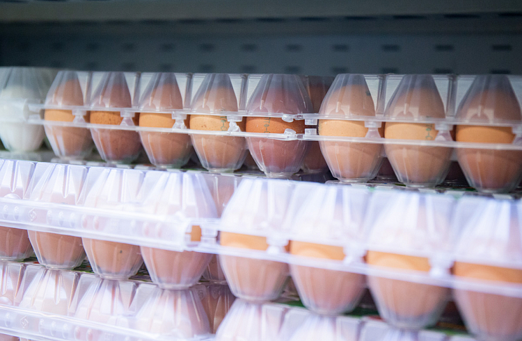За 2020 год в Приморье произвели более 280 млн яиц