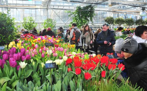 В столице открылась выставка «Репетиция весны»