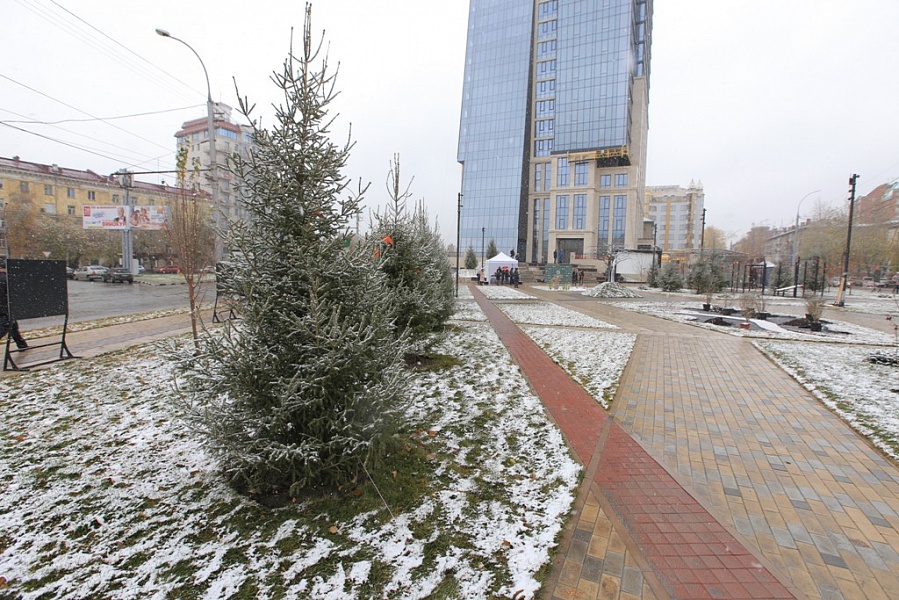 В Новосибирске ввели режим неблагоприятных метеоусловий